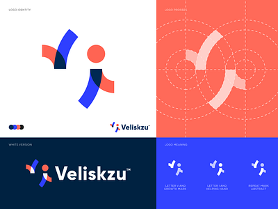Veliskzu - Logo design | Modern logo design