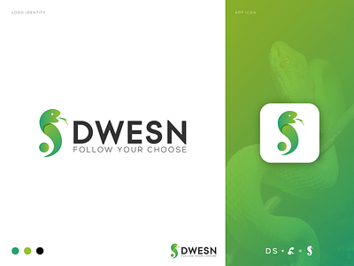 D+S for Dwesn | Modern logo design