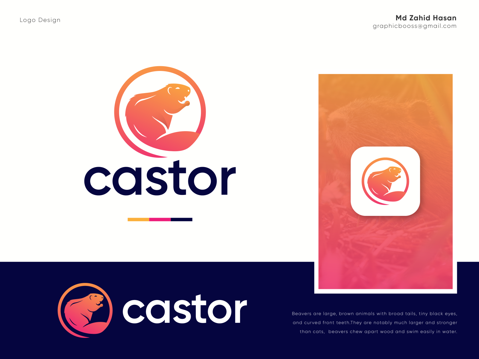 Castor Logo Design by Md Zahid Hasan Logo Designer on Dribbble