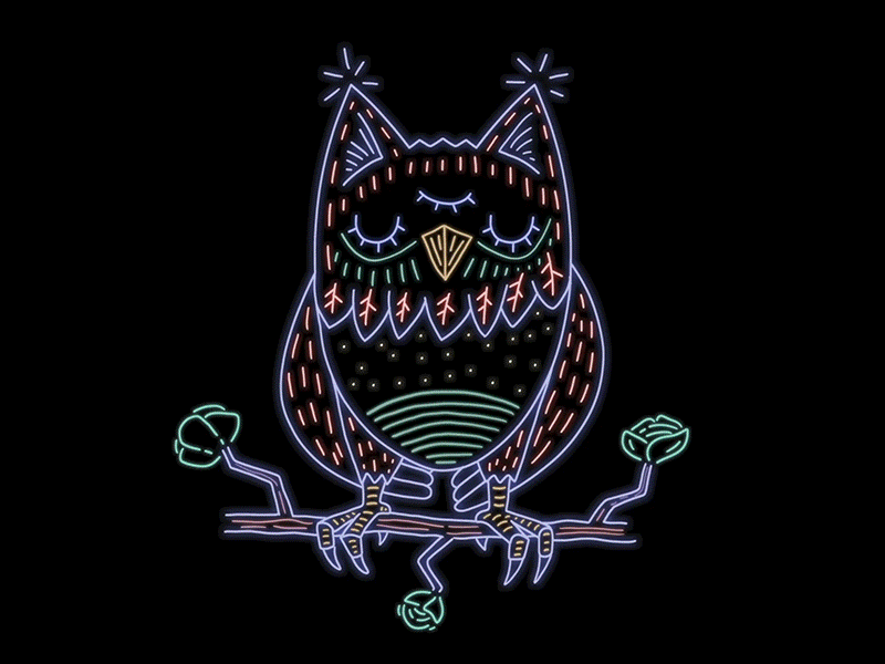 Midnight Owl animated animation digital illustraion neon night owl photoshop sunrise