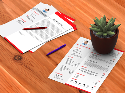 CV / RESUME AND COVER LETTER clean cv cv design cv resume cv resume template cv template design illustration redesign resume