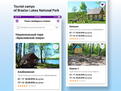 Campsites (part 1) / Braslav Lakes National Park booking camping design interface lake mobile app recreation ui