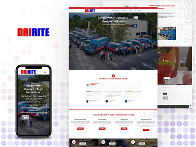 DRIRITE® Tampa - New Website Design & Build design uiux web development website design