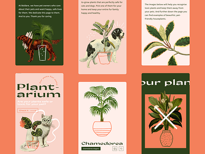 Plantarium Landing Page #3 animation cat collage dog figma graphic design illustration landing mobile nocode plants typography ui ux webflow