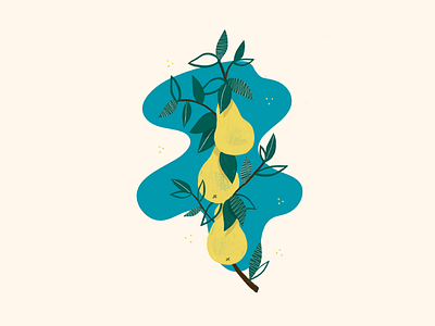 illustration // colors design fruit grape illustration ipad plant poland