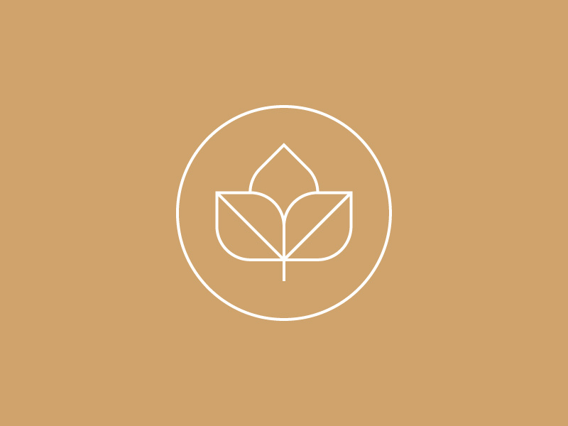 Seed by Anthony Lane on Dribbble