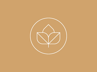 Seed by Anthony Lane on Dribbble