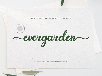 Evergarden - Beautiful Script Font wedding