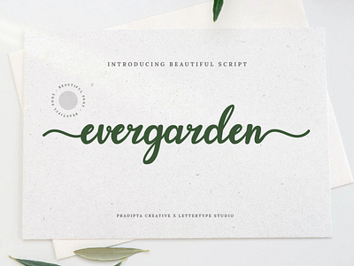 Evergarden - Beautiful Script Font