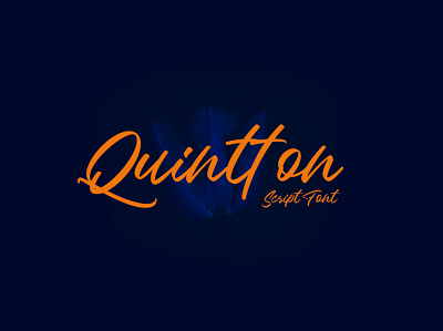 Quintton Script Font by TypoBureau and me. design font font design handlettering lettering typography vector art