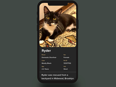 Concept Pet Adoption Profile app app design cat dailyui dark ui design iphone iphone x pet adoption pets portfolio profile profile card profile page ui design ux