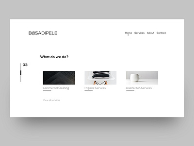Basadipele Cleaning Services web UI. branding design minimal web design