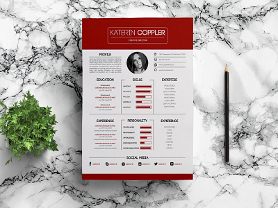 Free Great Resume Template