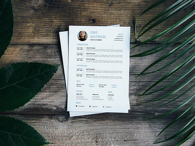 Free Entrepreneur Resume Template curriculum vitae free free resume free resume template freebie freebies resume resume clean resume cv resume design resume template