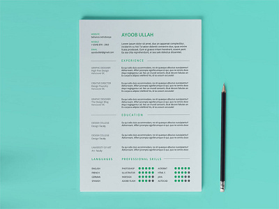 Free Any Industry Resume Template