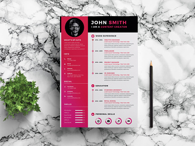 Free Timeline Infographic Resume Template