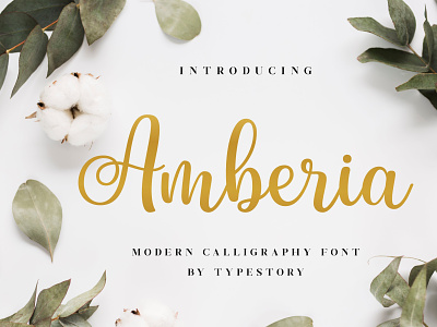 Amberia Modern Calligraphy