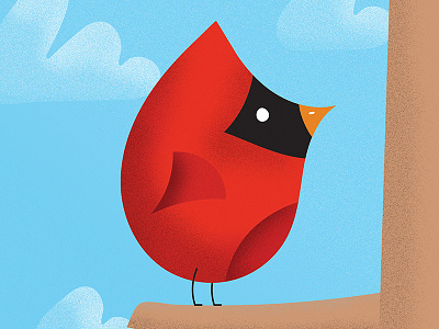 cardinal birdie birds illustration