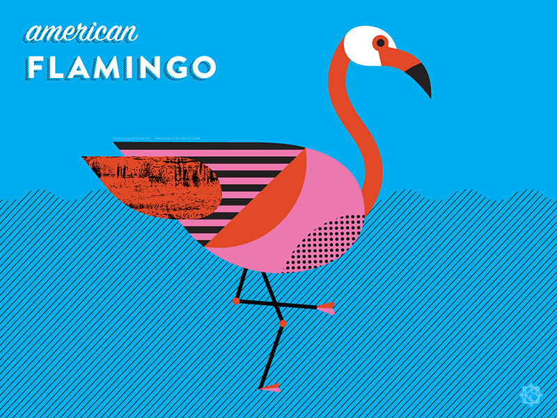 Nerdy Birdies no. 4: American Flamingo nerdy birdie birds flamingo