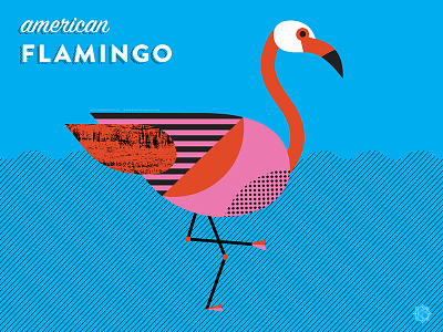 Nerdy Birdies no. 4: American Flamingo birds flamingo nerdy birdie