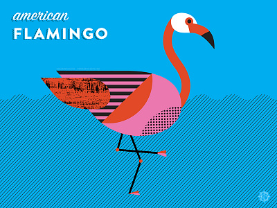 Nerdy Birdies no. 4: American Flamingo