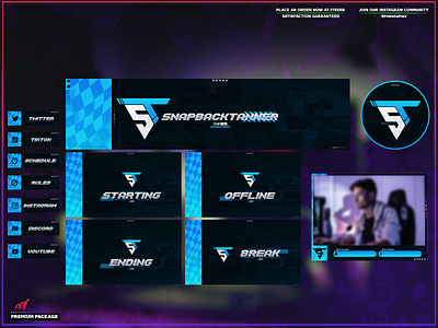 Professional full twitch package! 3d animation branding design graphic design illustration layout logo motion graphics streaming twitch twitch overlay ui vector