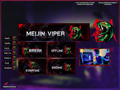 Viper Snake in a full twitch overlay package! branding design illustration layout logo streaming twitch twitch overlay