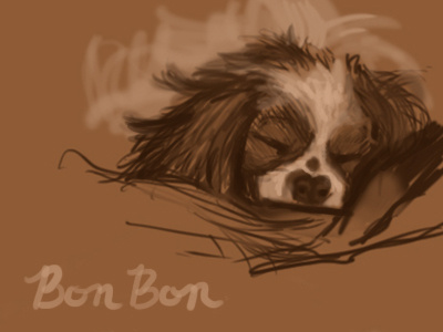 Bon Bon Digital Sketch bonbon cavalier charles digital dog king puppy sketch spaniel