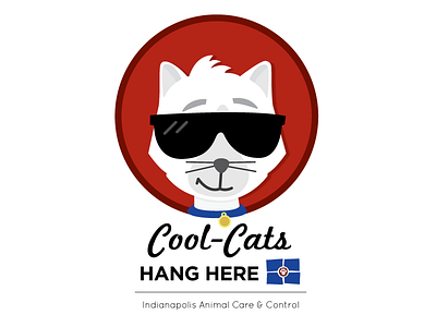 Cool Cat Logo