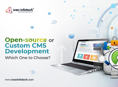 Open-source or Custom CMS Development - Which One to Choose? cms development company custom cms development services