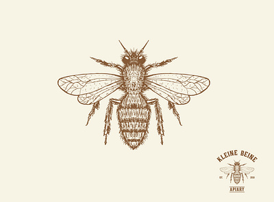 Honey Bee bee bee logo brand identity branding branding design draw drawing hand drawn hand illustration handmade honey honeybee illustration logo retro vintage