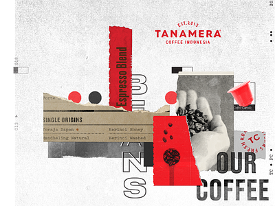 Tanamera Coffee Brochure – The Coffee