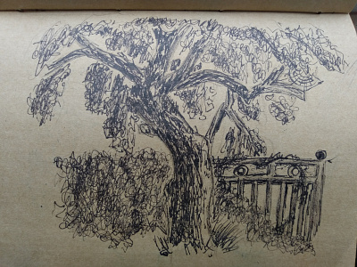 More than a tree design illustration sketch