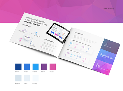Docoon — Color palette brochure design graphic design illustration pink print