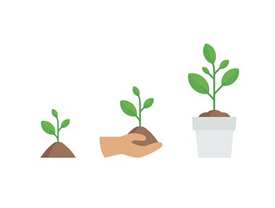 Steps of Growth Illustration flowers green growth illustration plants seed soil