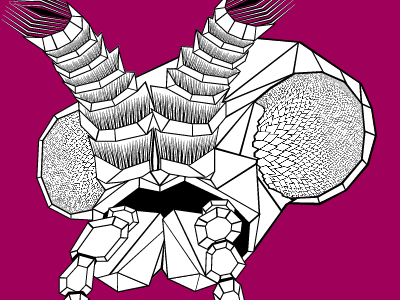 Screen Shot 2011 05 17 At 7.54.01 Pm bug fly geometric illustration shapes