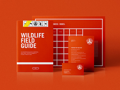 Airboat Wilderness Rides Collateral art direction art director artwork assets branding collateral cover art design graphic design package design poster print