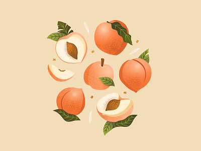 Melba draw flowers food fruit healthy illustration illustrator instagram peach pêche summer vegetal