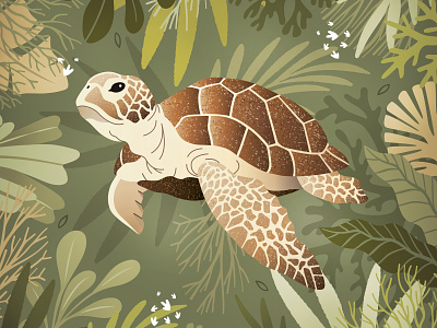 Océa animal draw illustration illustrator instagram ocean tortue turtle
