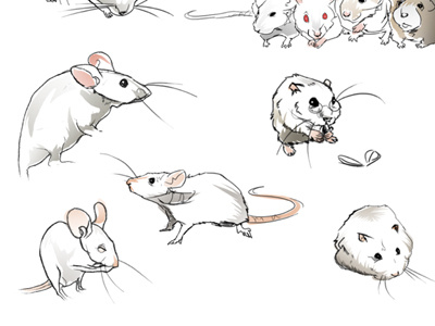 Mices ckrauss elkaniho illustration ilustracion mice mices mouse nihokrauss ratas ratones