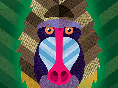 The Mandrill ape baboon colors illustration mandrill monkey texture