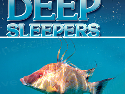 Deep Sleepers design diving fish layout magazine sleep