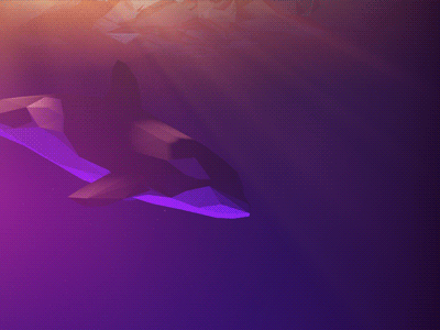 Low Poly Orca 3d animal animation god rays low poly lowpoly ocean sun waves whale