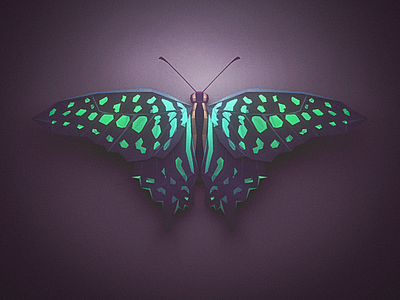 Low Poly Butterfly