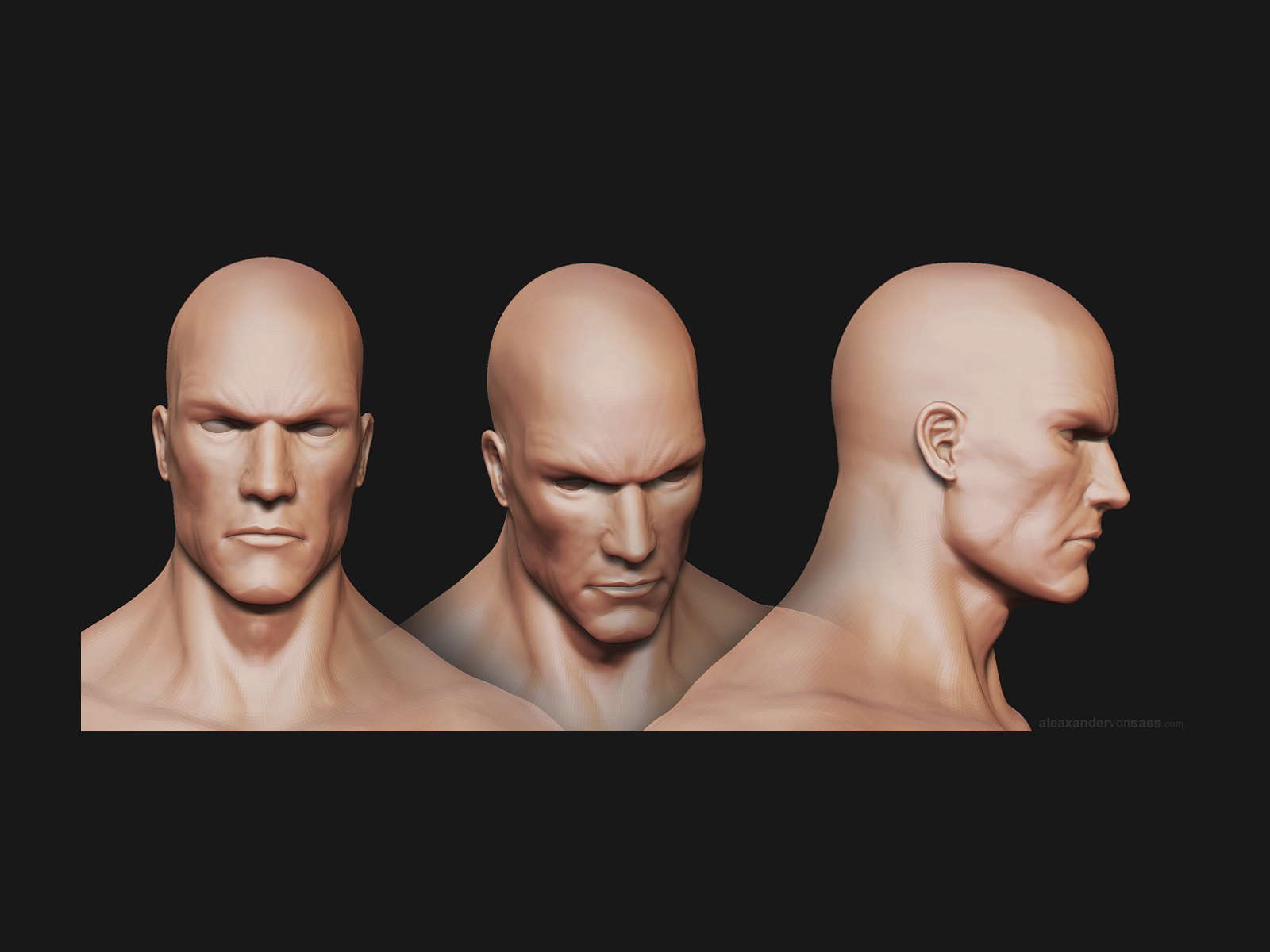 Третья лица. Референс хед. Лысая голова разные ракурсы. Лицо человека с разных сторон. Голова анфас.