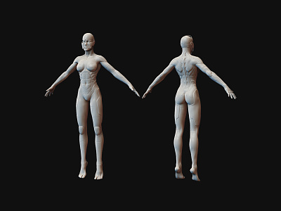 Female Cyborg Ninja Model