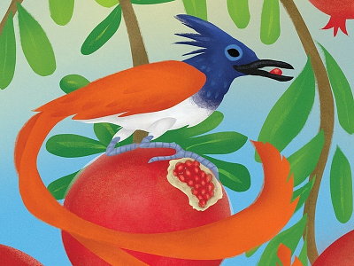 Bird Illustration bird childbook illustration kids book pomegranate