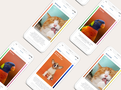 Pet Care App UI app design ui web
