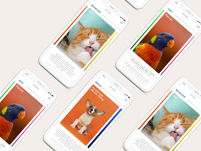 Pet Care App UI