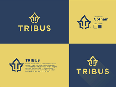 Tribus, LLC – Logo design + typography, and color usage.